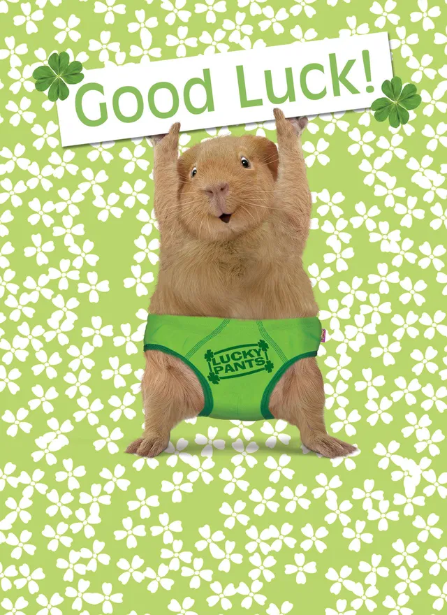 otter-house-lucky-pants-good-luck-karte-meerschweinchen-klee image 1