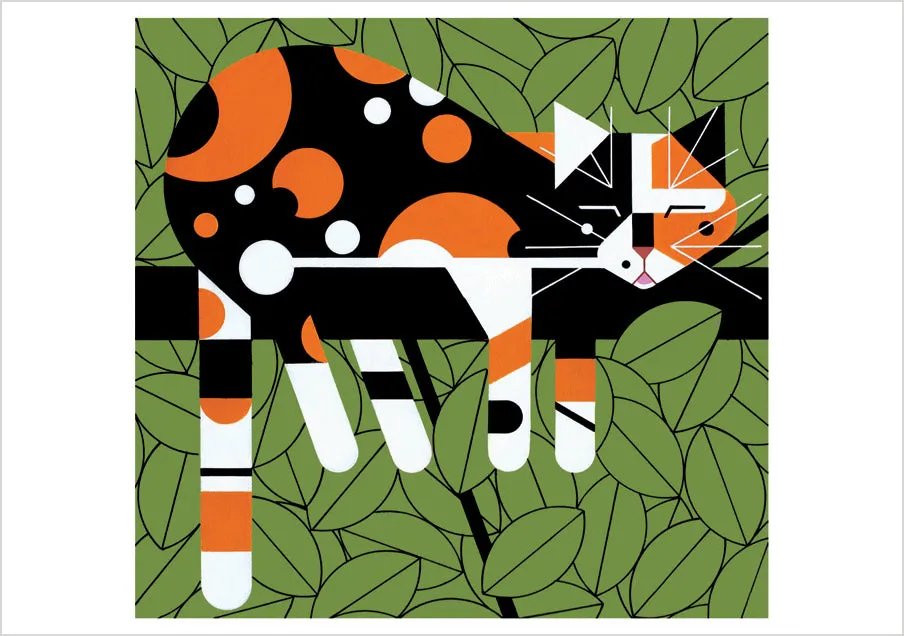 pomegranate-blank-notecards-limp-on-a-limb-klappkarte-katze image 1
