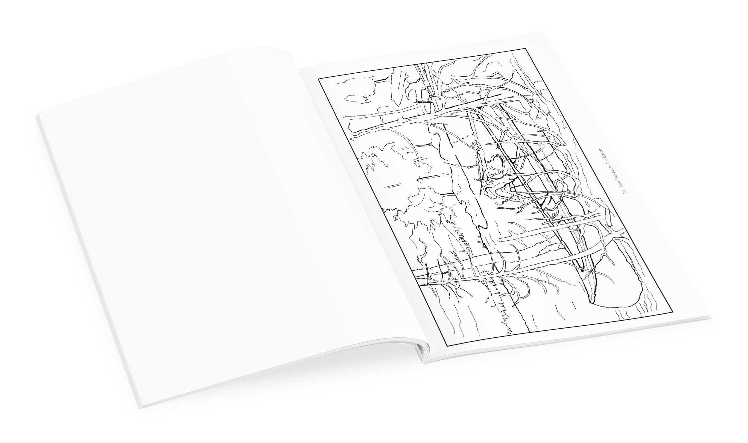 pomegranate-coloring-books-group-of-seven-malbuch-landschaften image 4