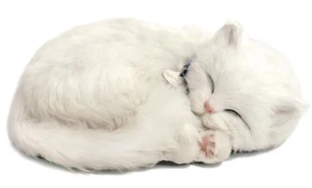 otter-house-precious-petzzz-weisse-katze-pl-sch-mit-bett image 1