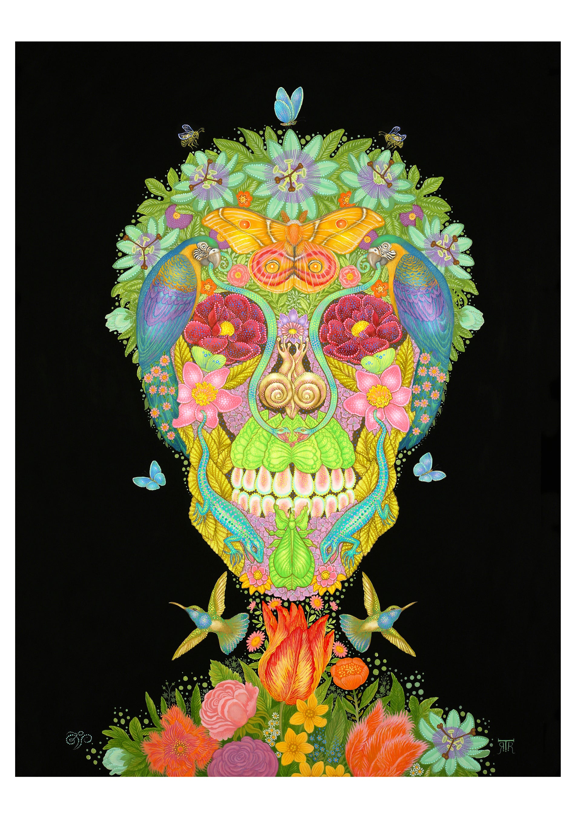pomegranate-day-of-the-dead-gru-karten-box-tino-rodriguez image 5
