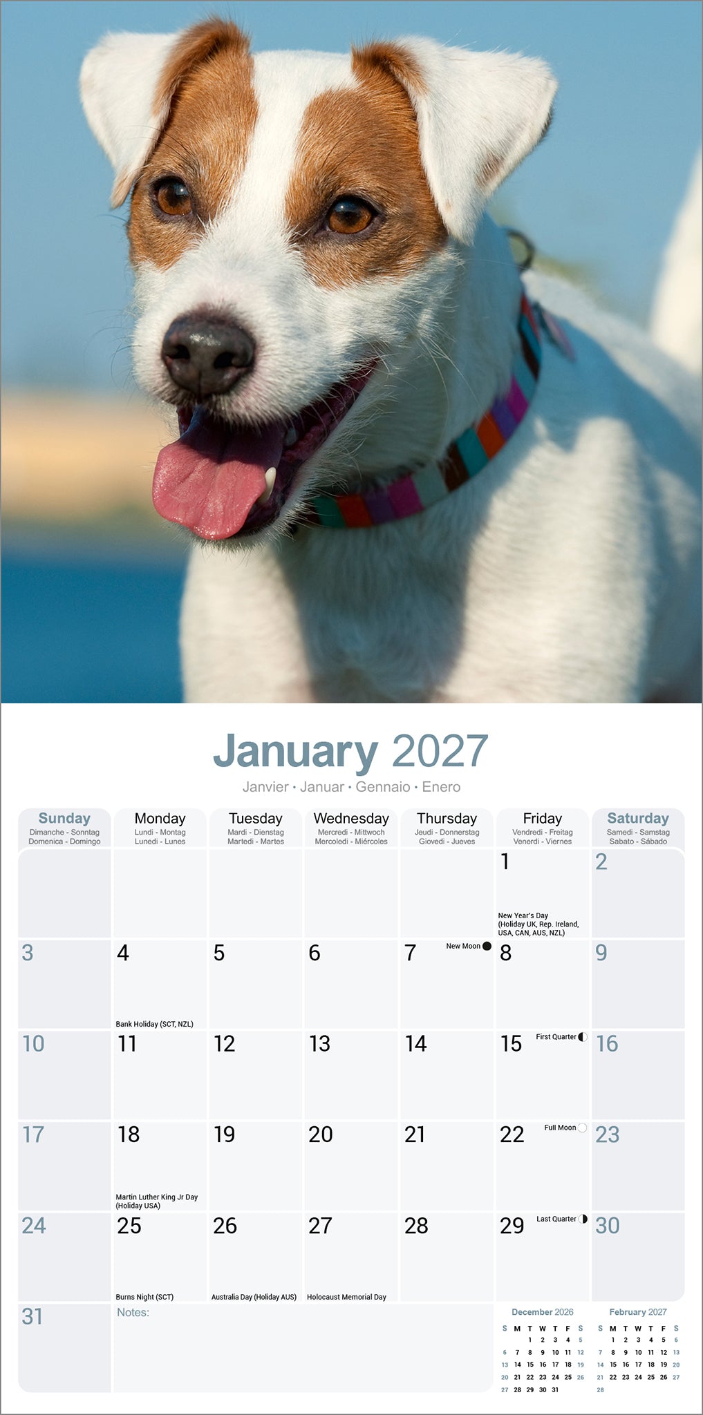 otter-house-jack-russell-wandkalender-2027-hundekalender-monat image 3