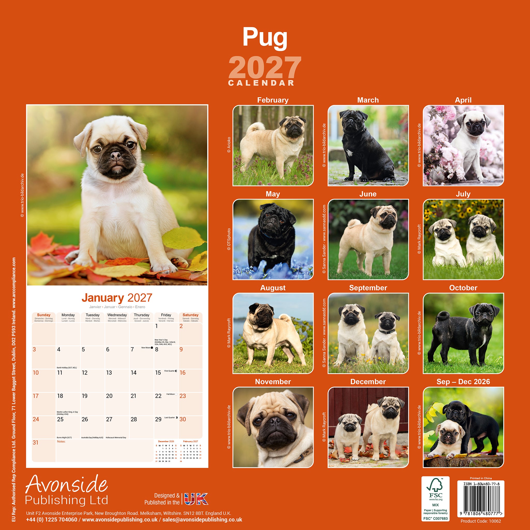 otter-house-pug-wandkalender-2027-mops-hundekalender image 2
