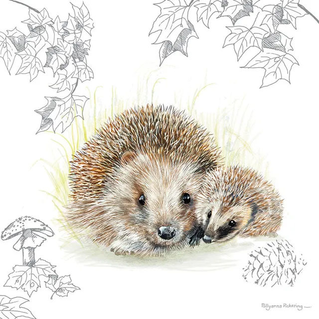 otter-house-greetings-cards-pollyanna-pickering-igelpaar-gru-karte-blanko image 1