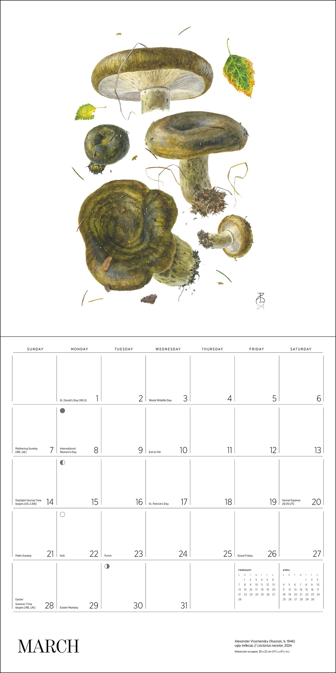 pomegranate-mushrooms-alexander-viazmensky-2027-wandkalender image 4
