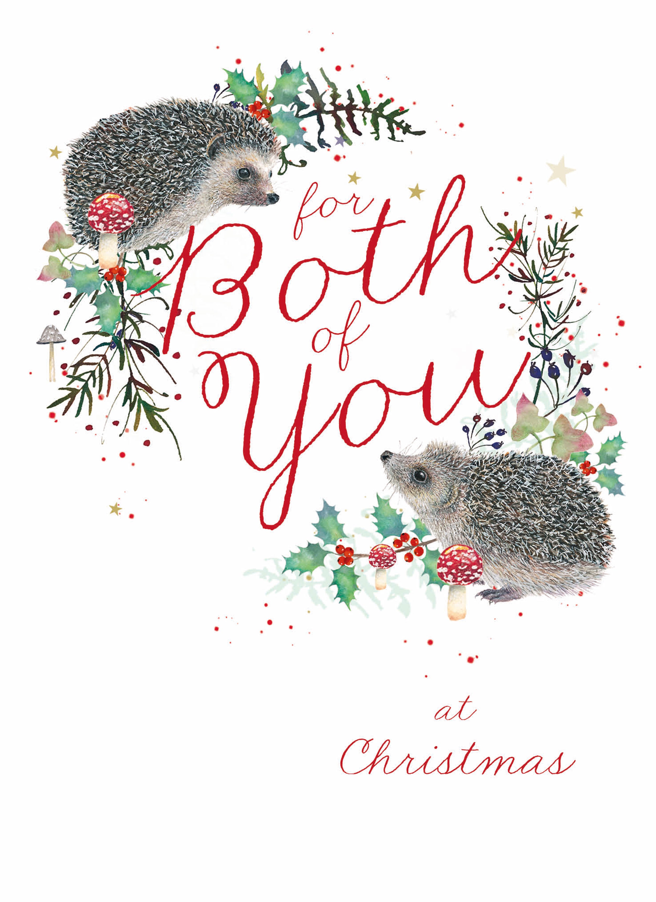 otter-house-christmas-weihnachtskarte-both-of-you-igel image 1
