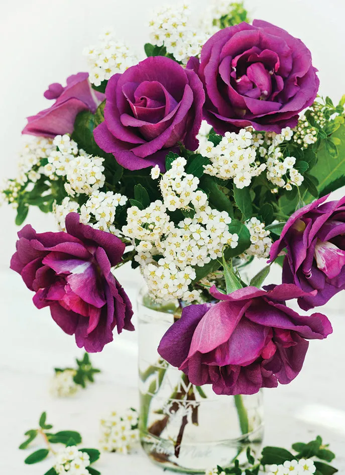 otter-house-beautiful-blanks-purple-roses-grusskarte-rosen image 1