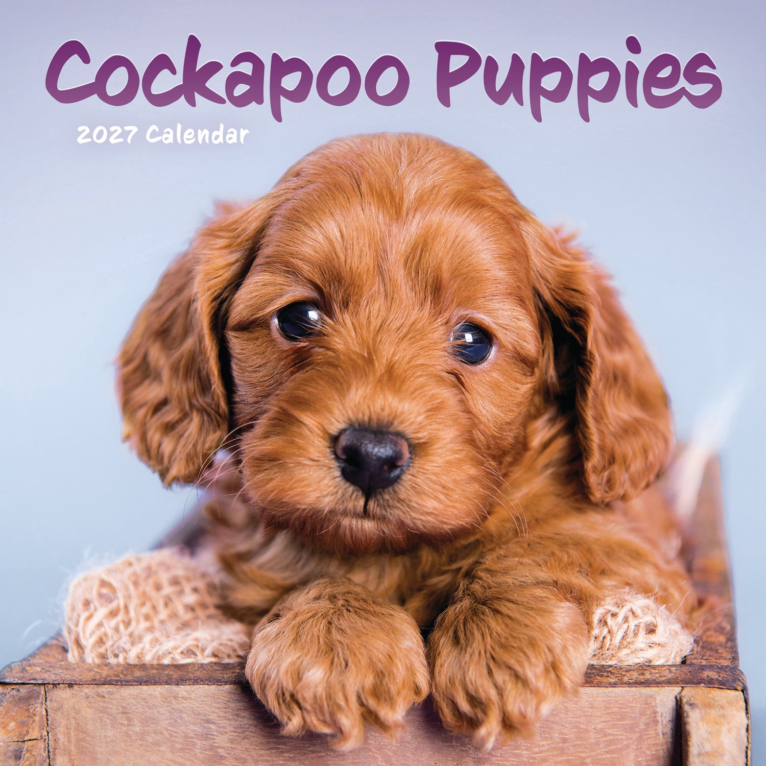 otter-house-cockapoo-puppies-mini-wandkalender-2027-hunde image 1