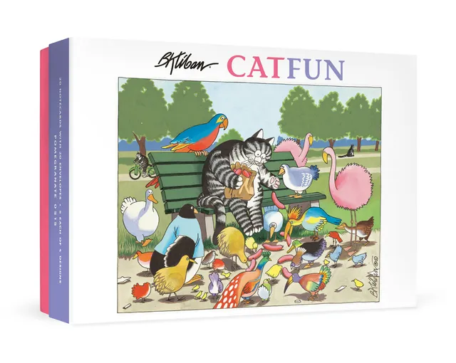pomegranate-b-kliban-catfun-karten-set-20-teilig-katzen image 1
