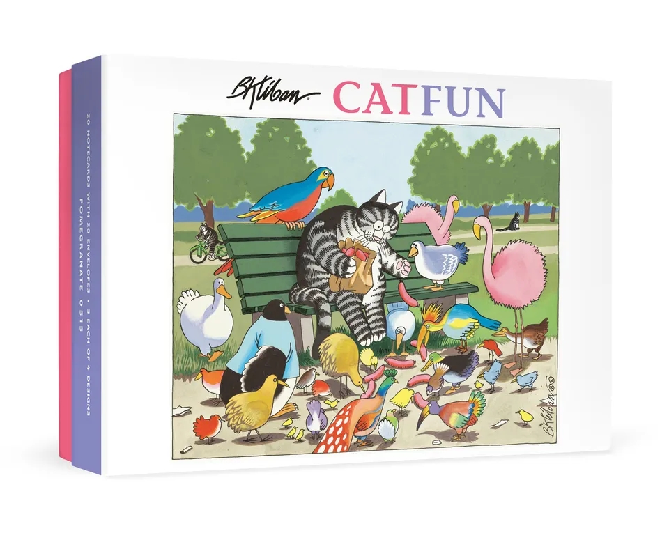 pomegranate-b-kliban-catfun-karten-set-20-teilig-katzen image 1