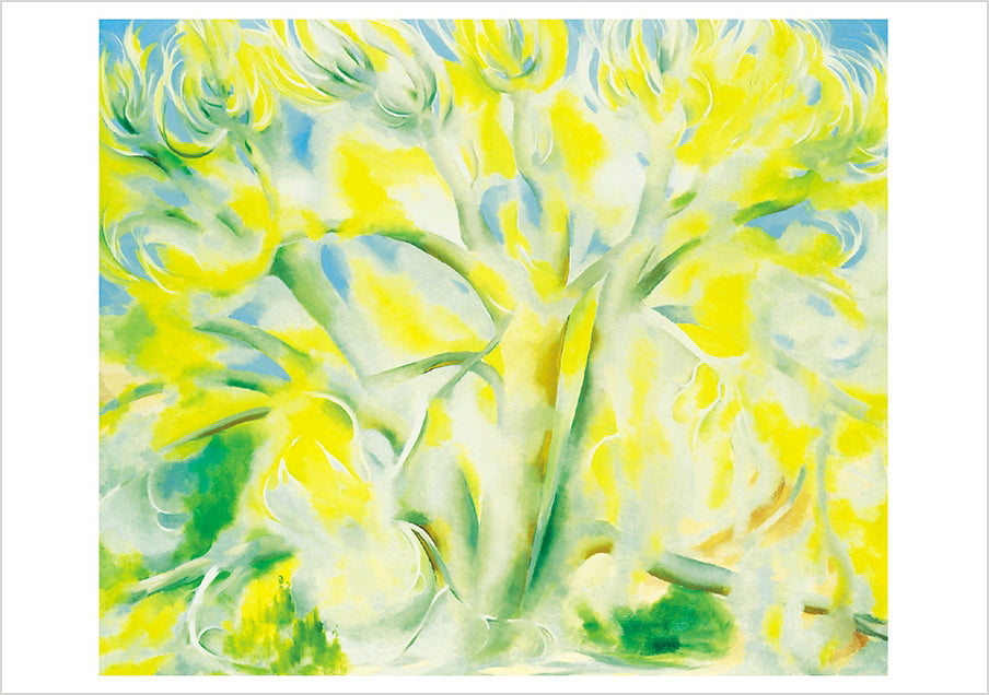 pomegranate-blank-notecards-spring-tree-no-1-klappkarte-baum image 1