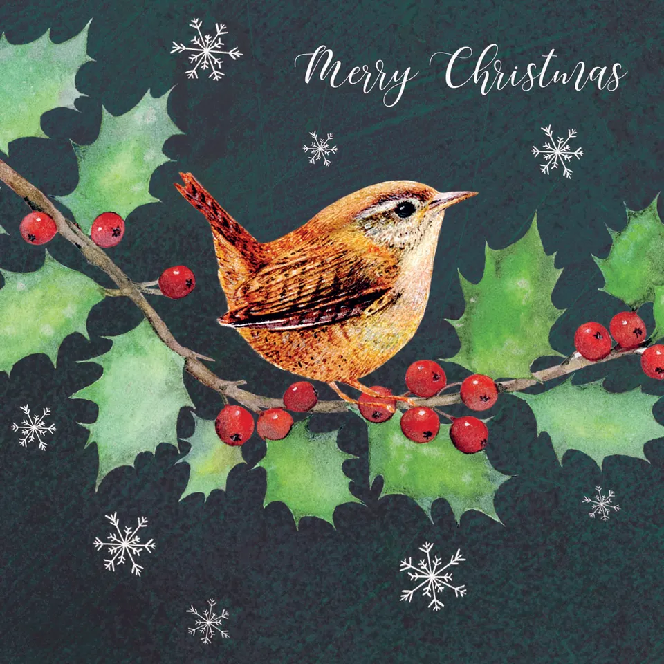 otter-house-rspb-wren-holly-weihnachtskarten-10er image 1
