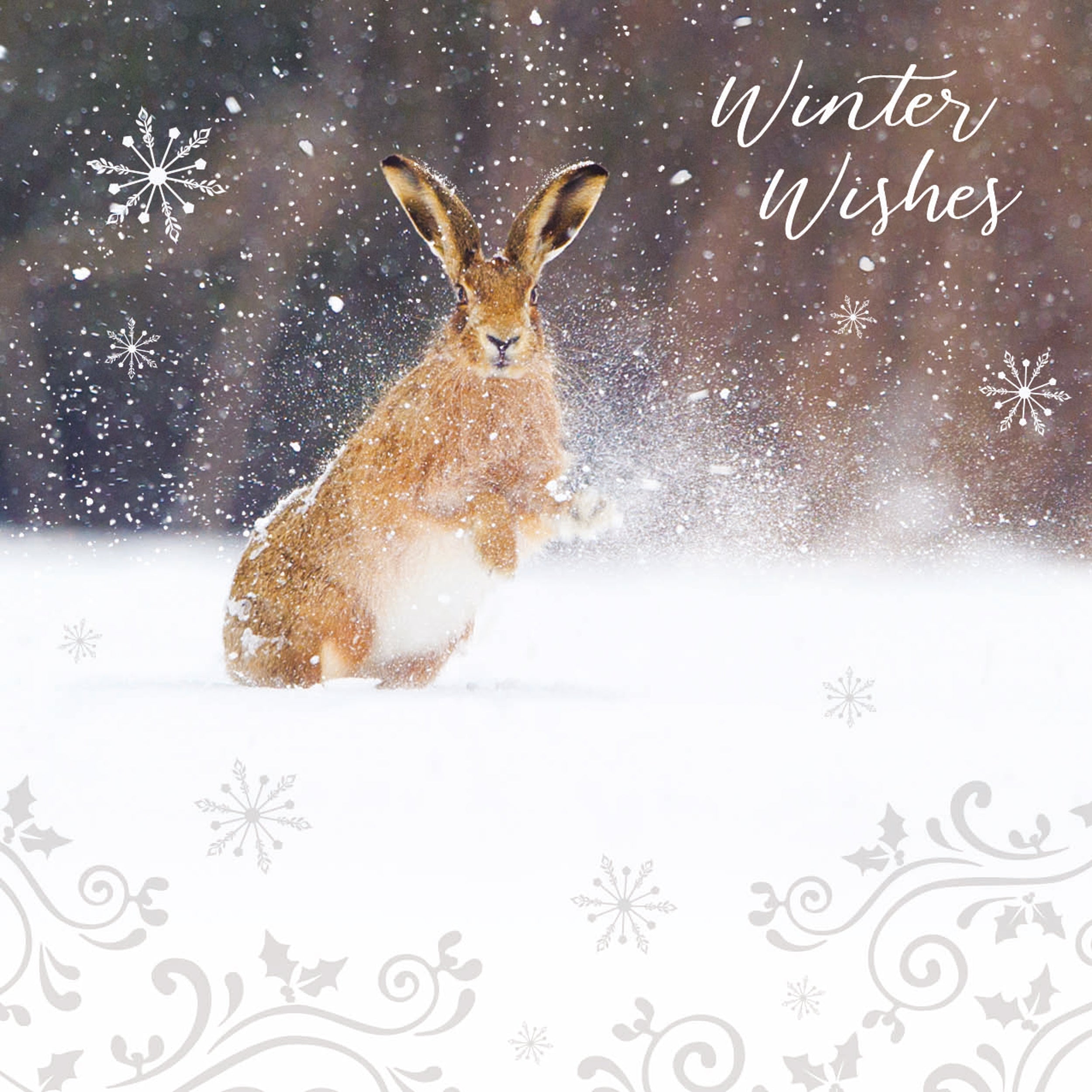 otter-house-christmas-rspb-snow-spray-hare-10-weihnachtskarten image 1