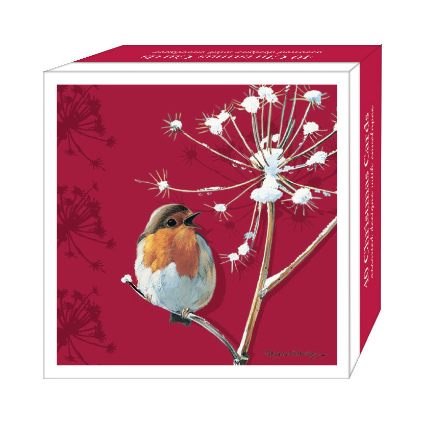 otter-house-christmas-robins-weihnachtskarten-set-rotkehlchen image 1
