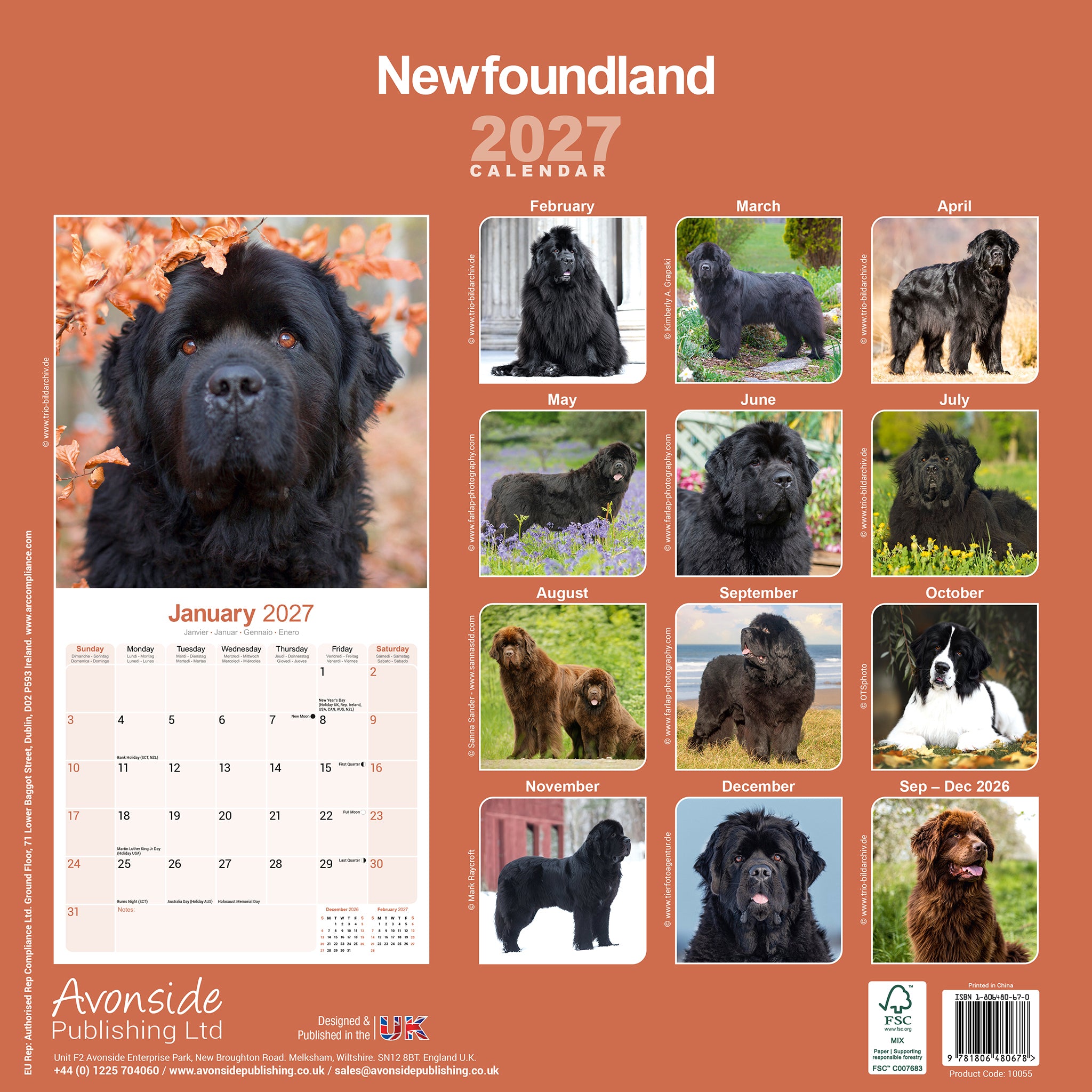 otter-house-newfoundland-wandkalender-2027-hunde image 2