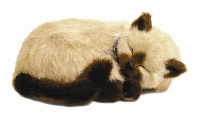 otter-house-precious-petzzz-siamkatze-pl-schtier-mit-bett image 1