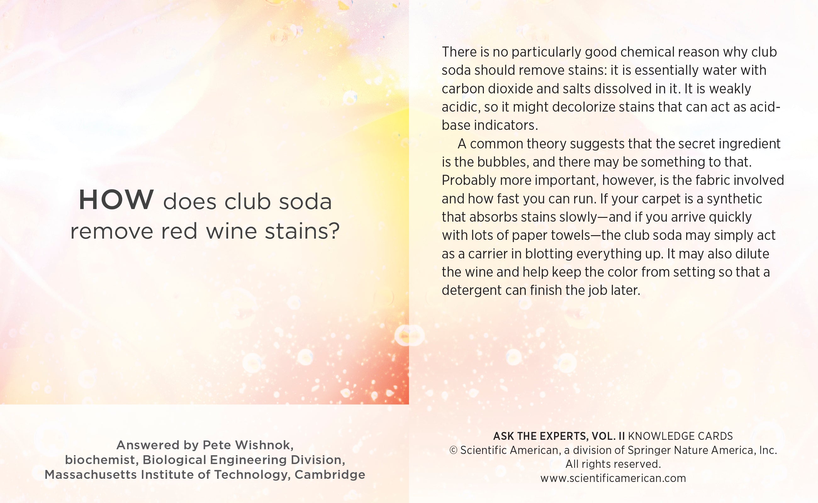 pomegranate-knowledge-cards-ask-the-experts-vol-2-lernkarten-48-karten image 4