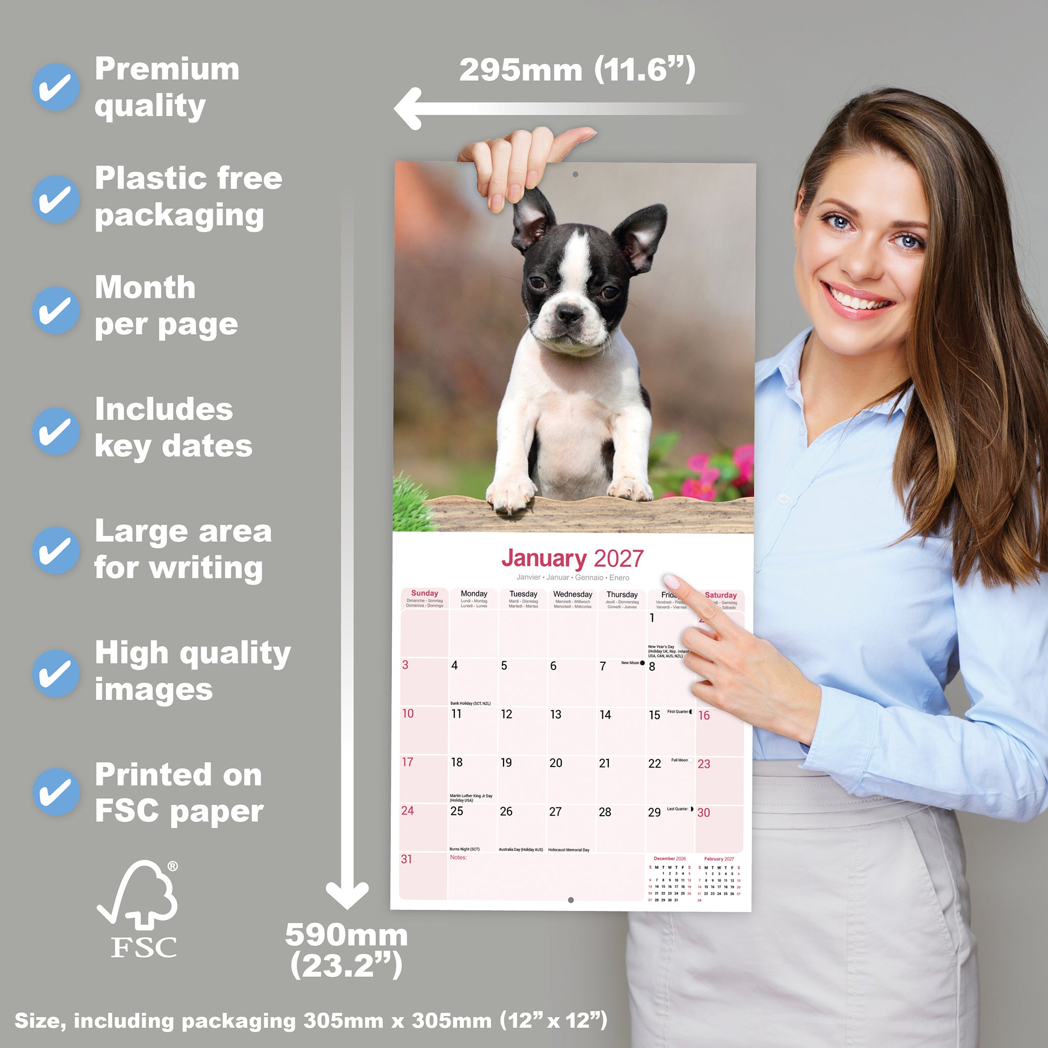 otter-house-boston-terrier-wandkalender-2027-hunde image 4