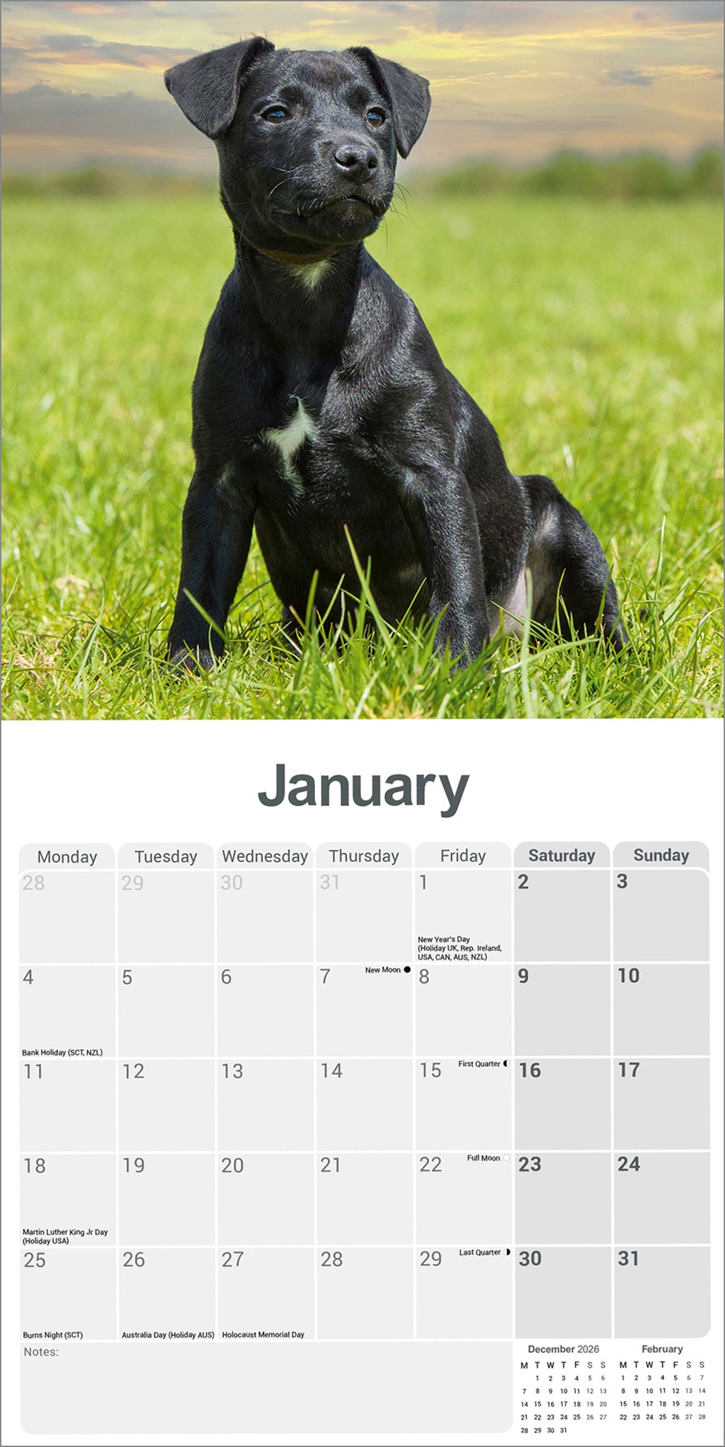 otter-house-patterdale-terrier-wandkalender-2027-hunde image 3