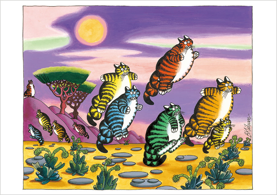 pomegranate-b-kliban-catfun-karten-set-20-teilig-katzen image 2