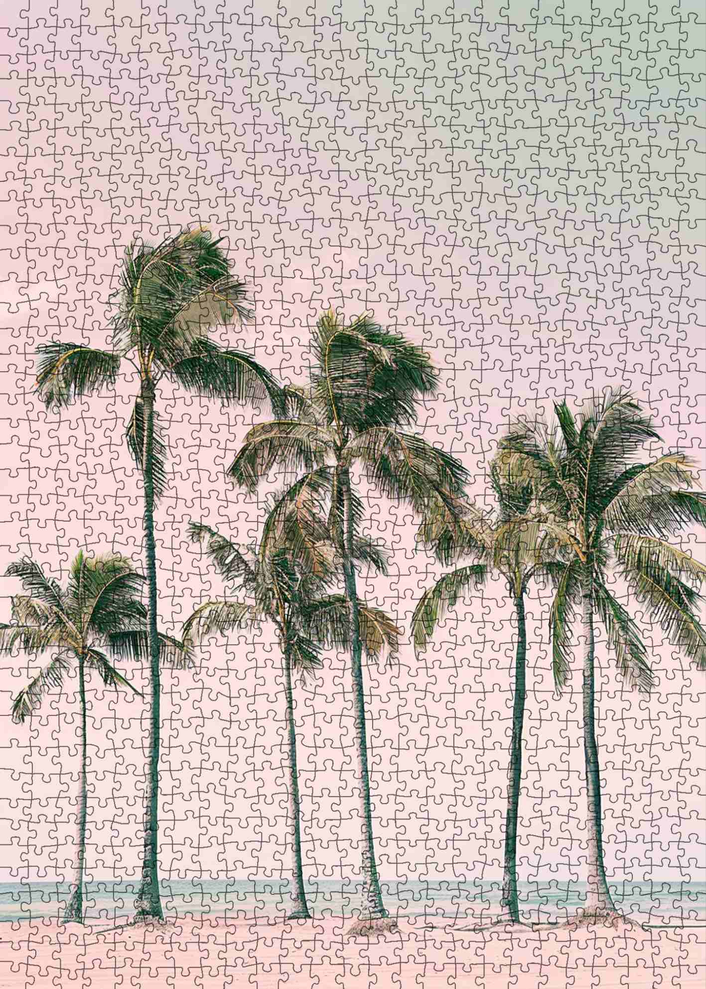 tucocoo-sunset-palm-coast-puzzle-1000-teile-landschaft image 2