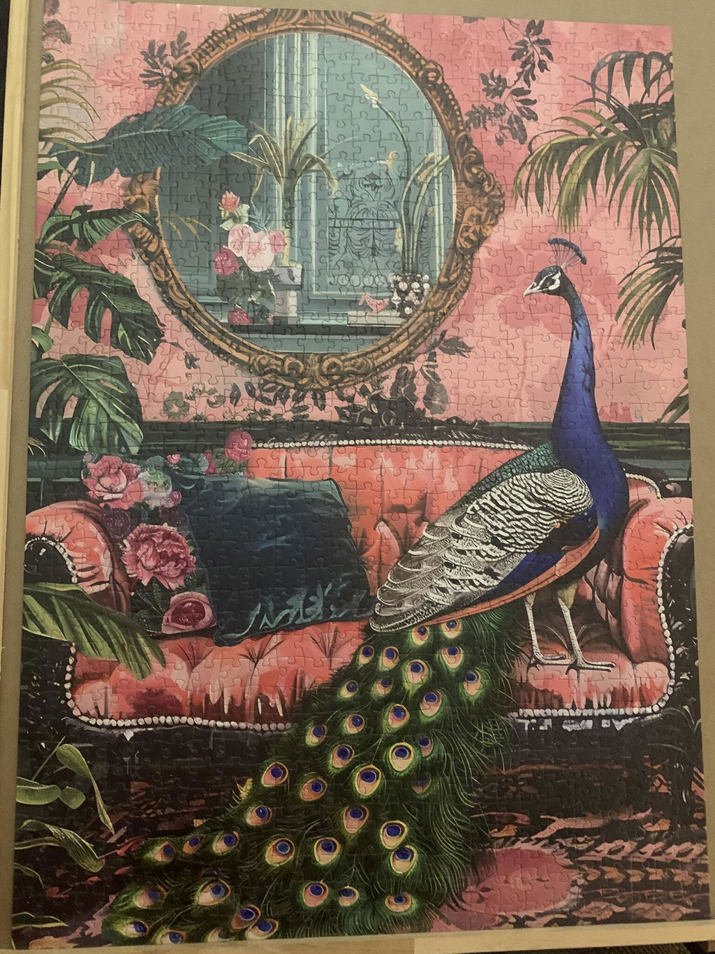 Pfau deutlich