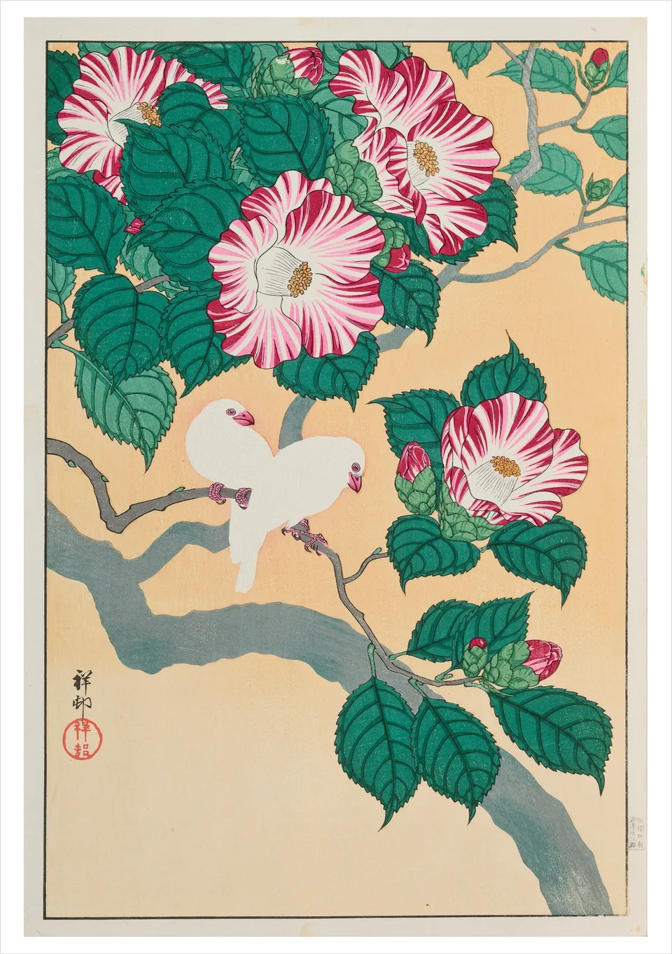 pomegranate-blank-notecards-ohara-koson-camellia-klappkarte-einzeln image 1