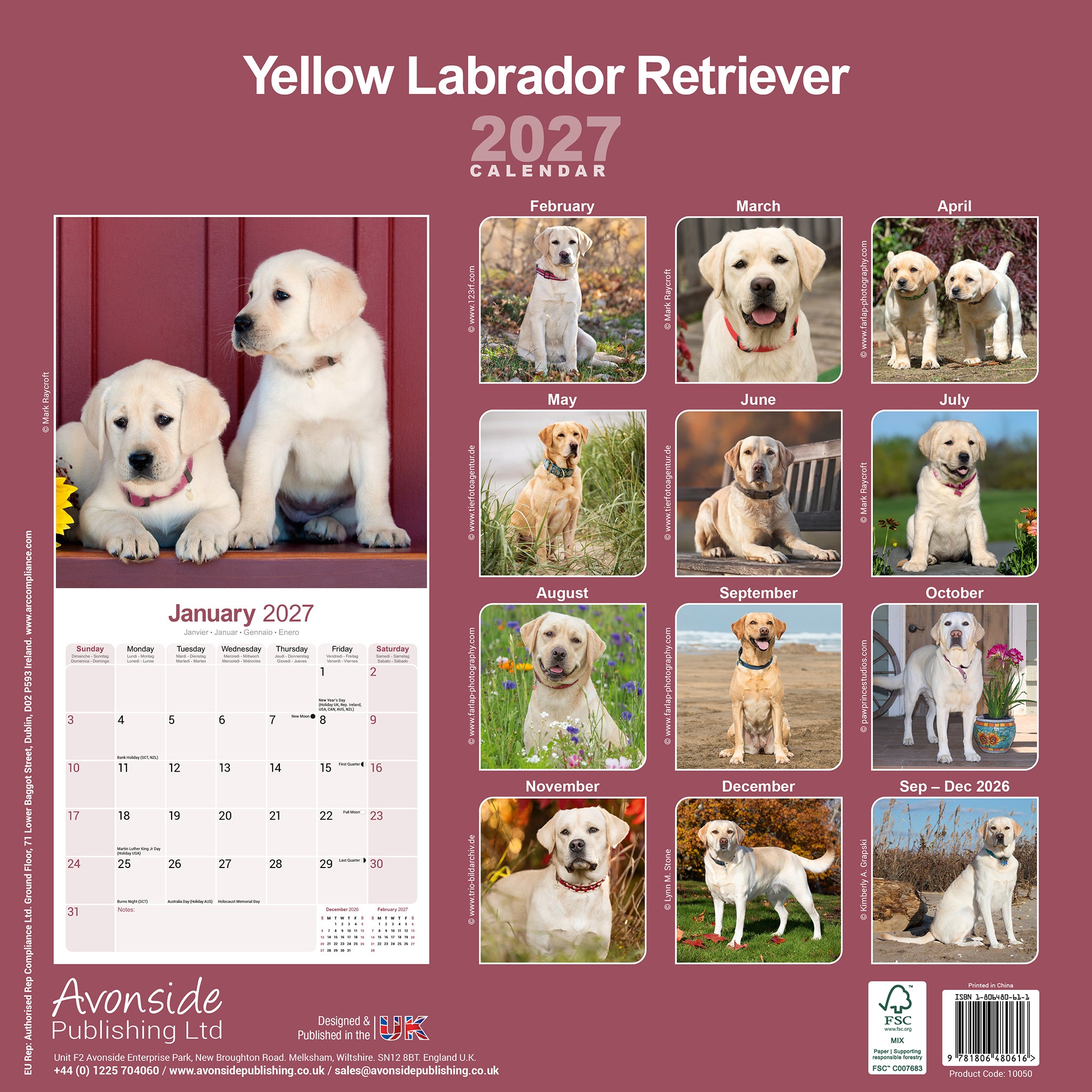 otter-house-labrador-retriever-wandkalender-2027-hund image 2
