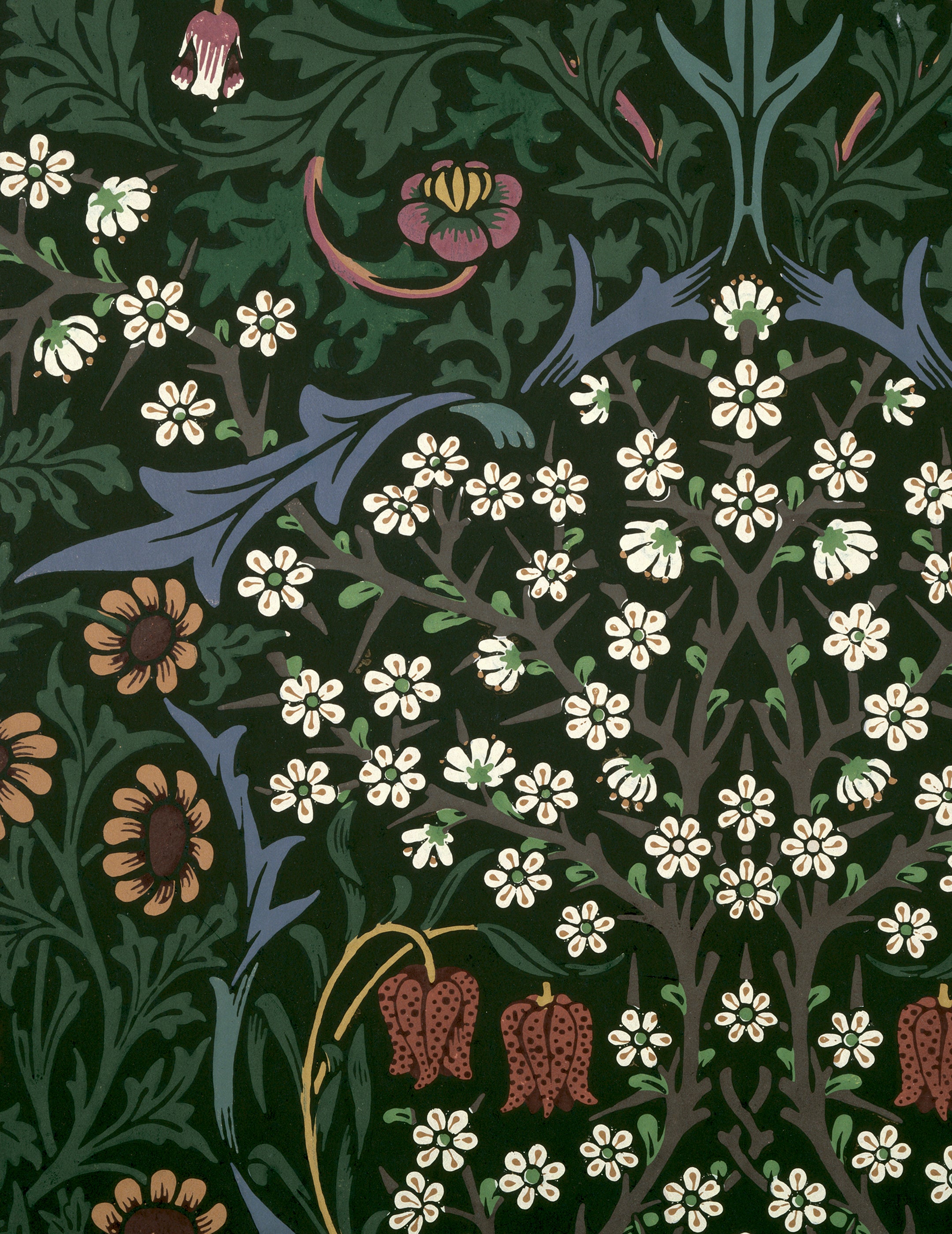pomegranate-william-morris-kartenbox-gru-karten-florale-muster image 4