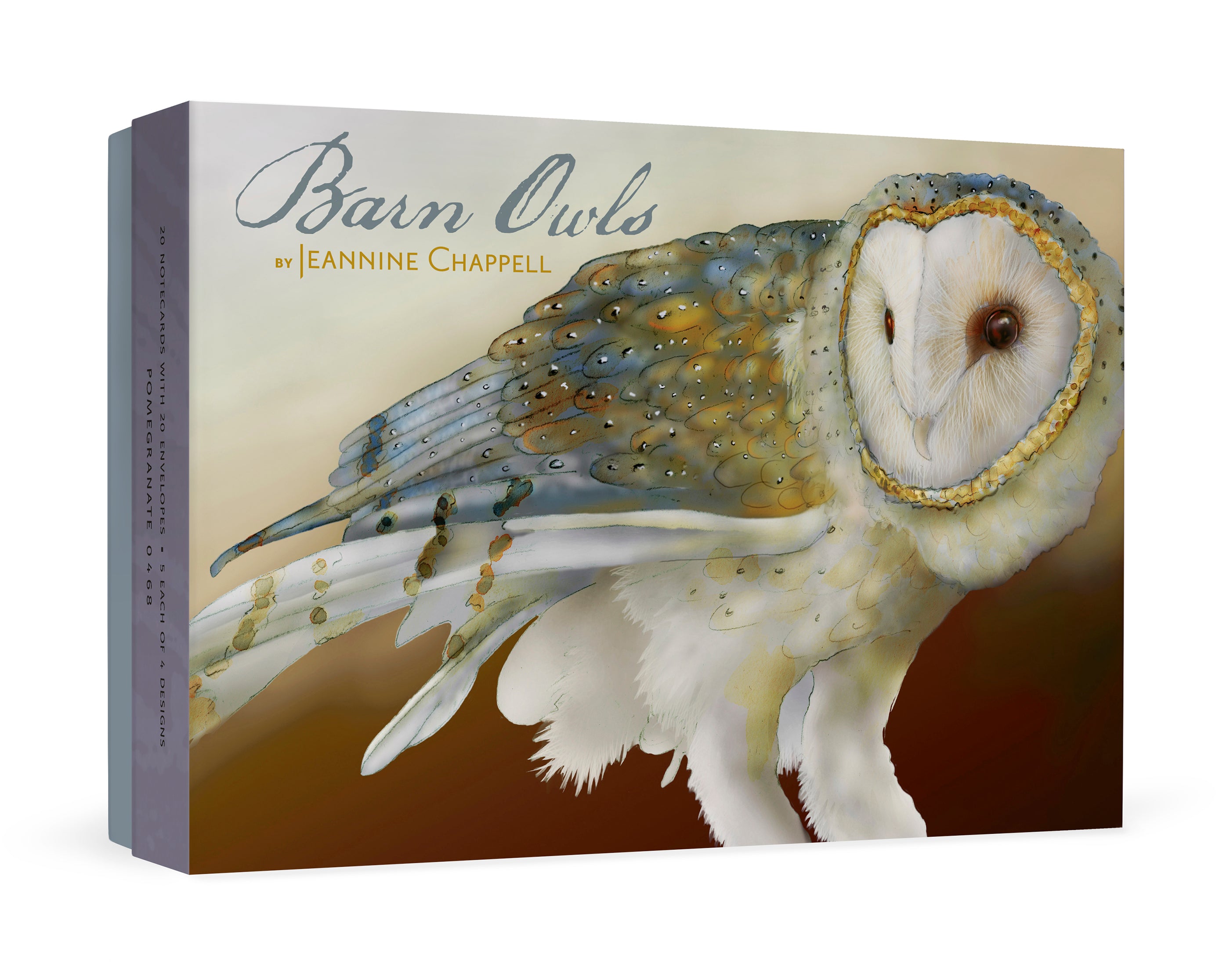 pomegranate-boxed-barn-owls-chappell-kartenbox-20-eulen image 1