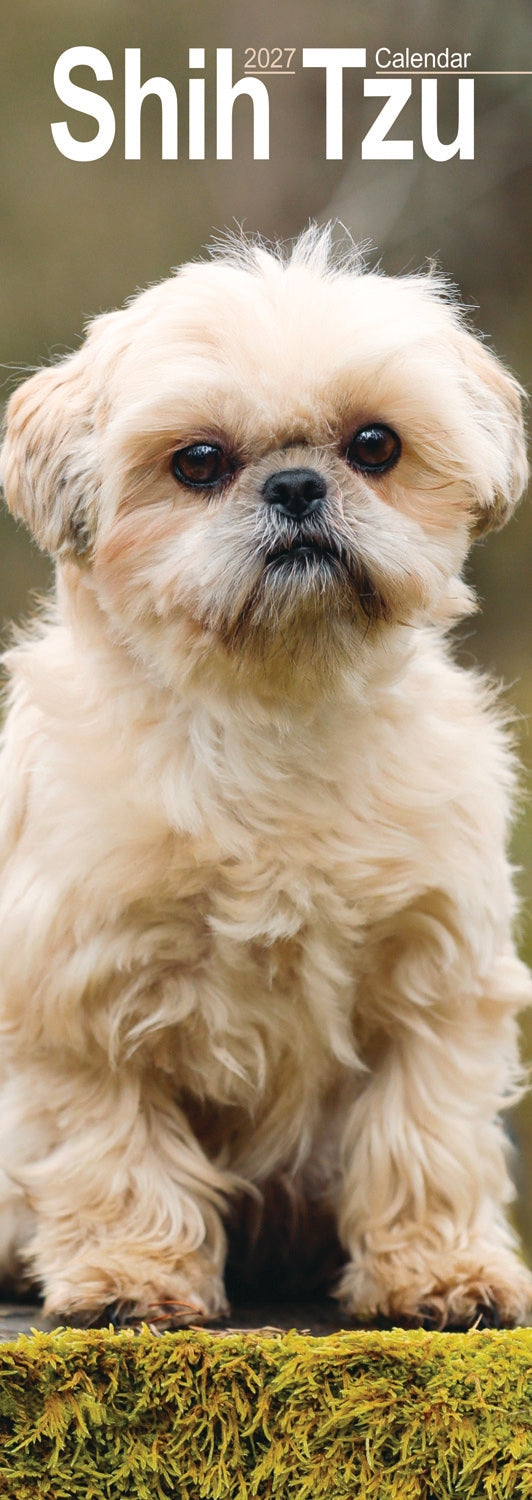 otter-house-shih-tzu-slim-kalender-2027-hunde-wandkalender image 1