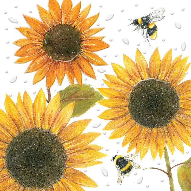 otter-house-beautiful-blooms-sunflowers-gru-karte-sonnenblumen image 1
