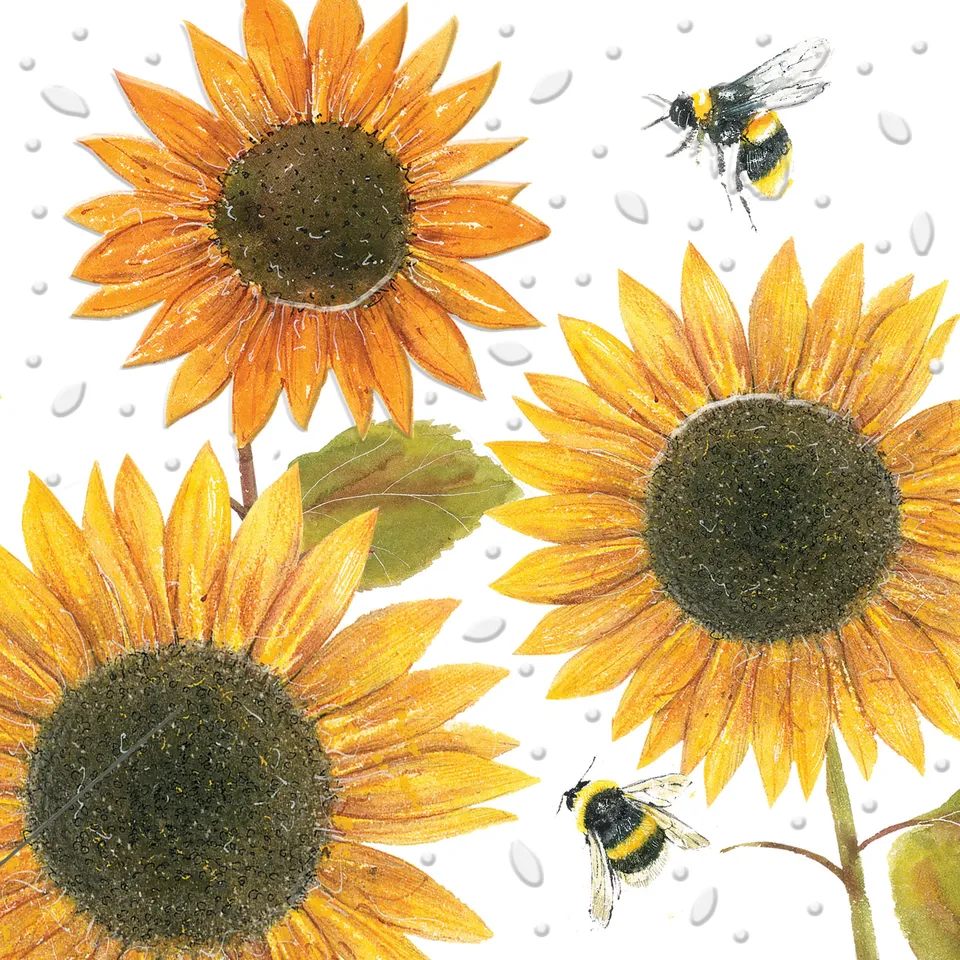 otter-house-beautiful-blooms-sunflowers-gru-karte-sonnenblumen image 1