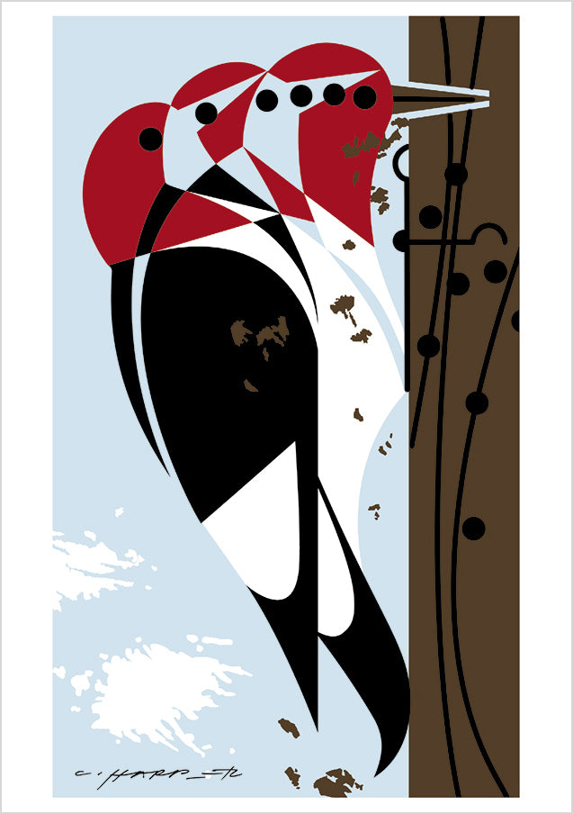 pomegranate-charley-harper-woodpeckers-kartenset-10-karten image 3
