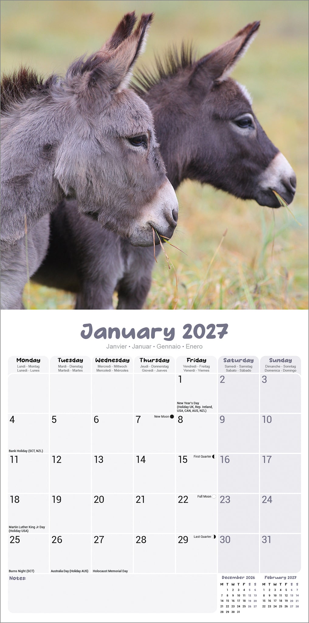 otter-house-donkeys-wandkalender-2027-esel image 3