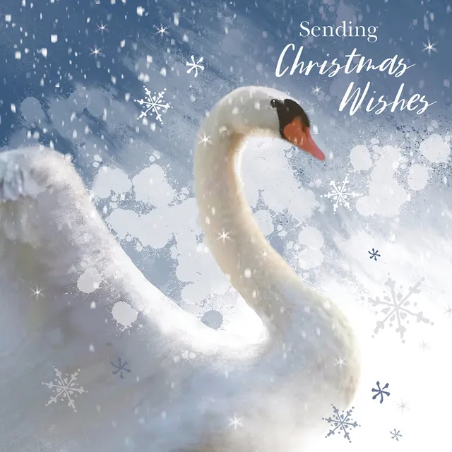 otter-house-sparkle-swan-weihnachtskarten-10er-schwan-pack image 1
