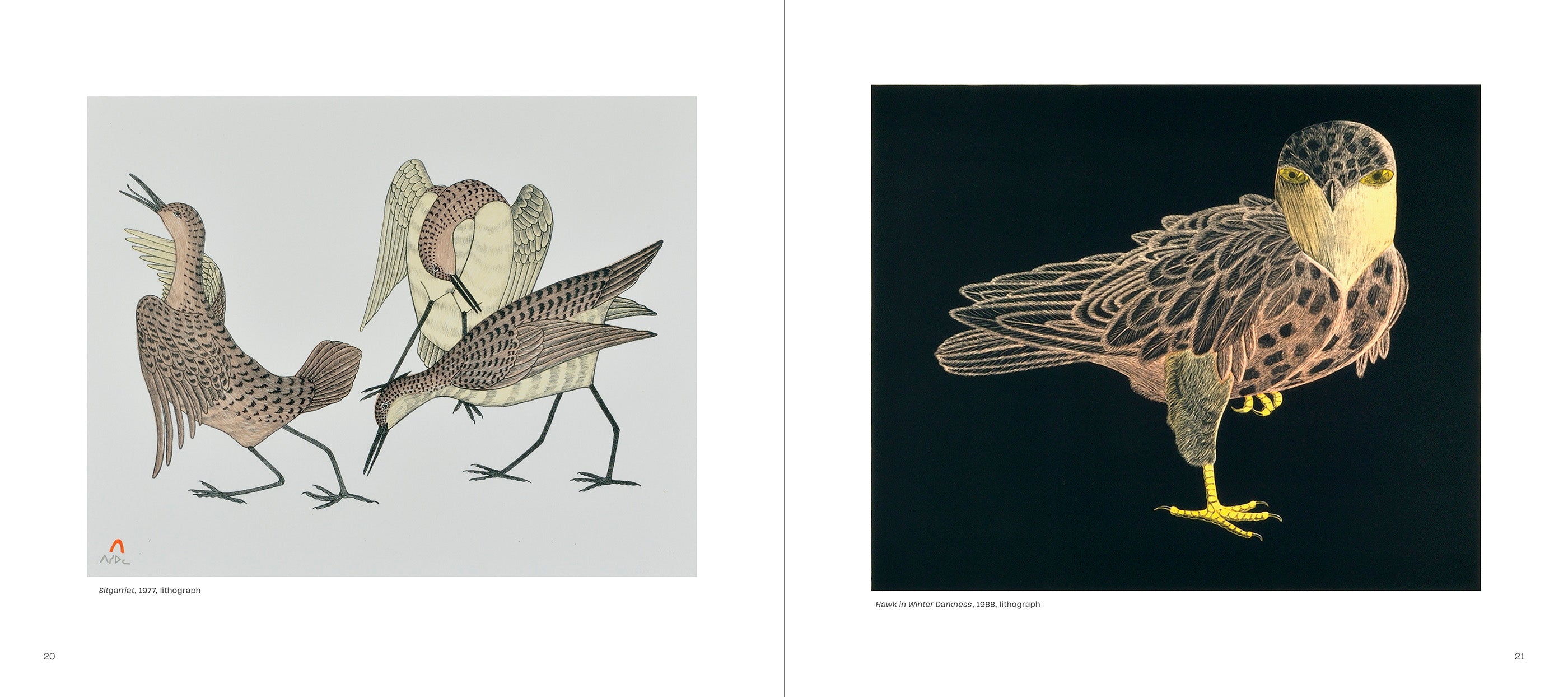 pomegranate-kananginak-pootoogook-kunstbuch-inuit image 4