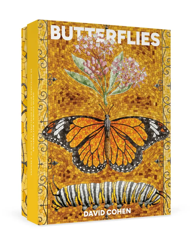 pomegranate-david-cohen-butterflies-karten-set-20-teilig image 1