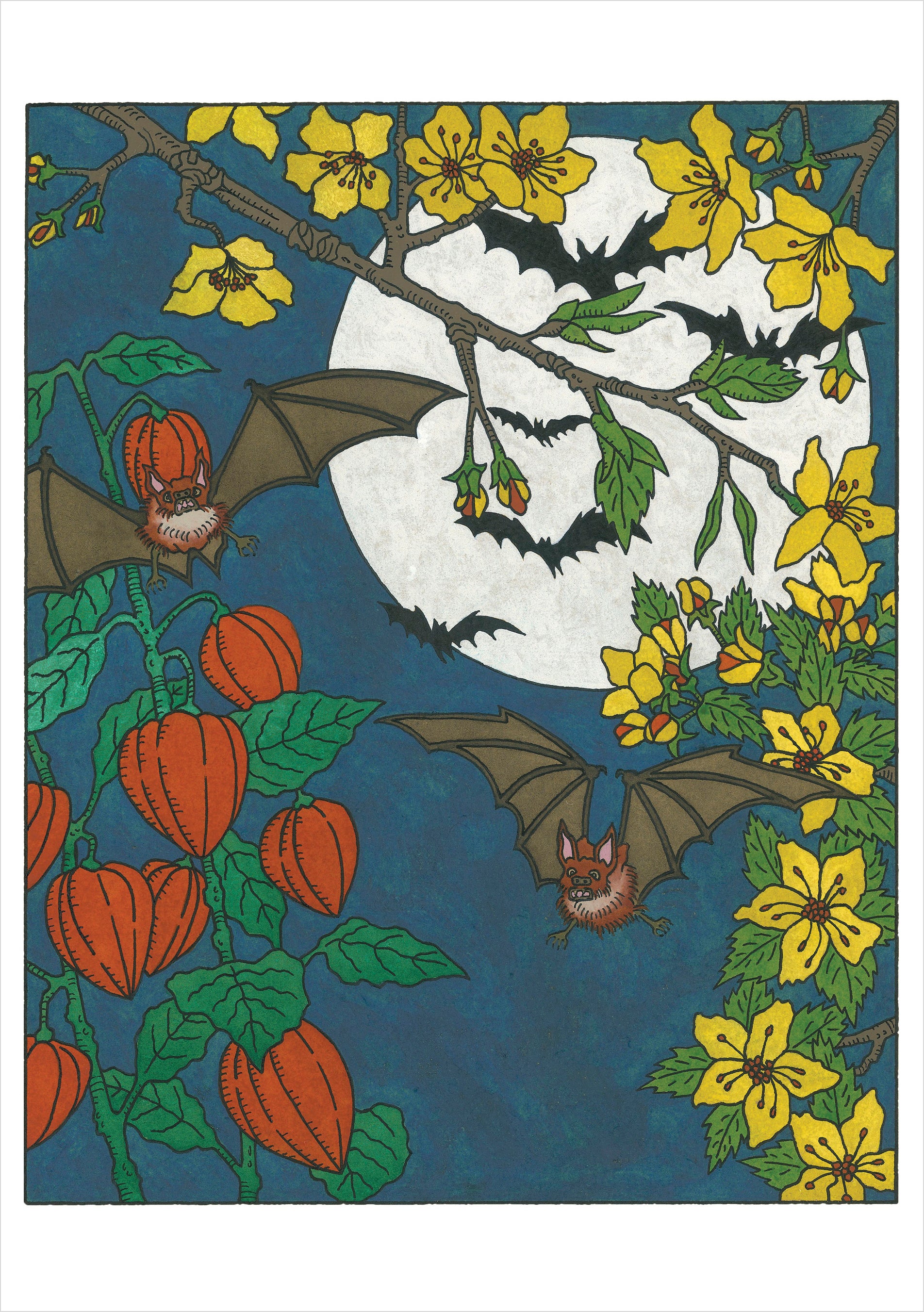 pomegranate-cj-hurley-night-gliding-klappkarte-einzeln image 1