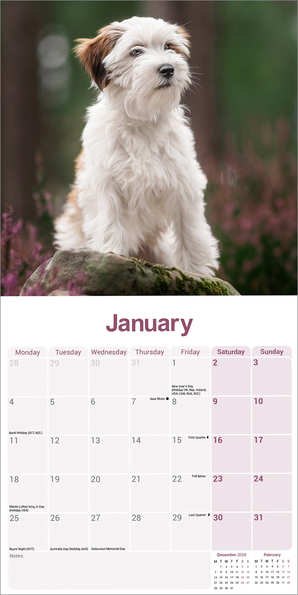 otter-house-tibetan-terrier-wandkalender-2027-hunde image 3