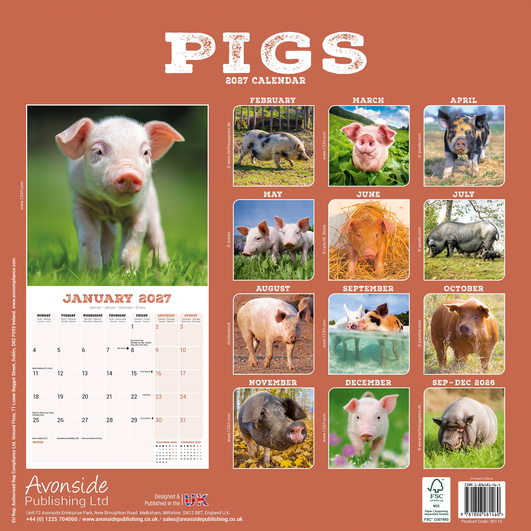 otter-house-pigs-wandkalender-2027-schweine-bilder image 2