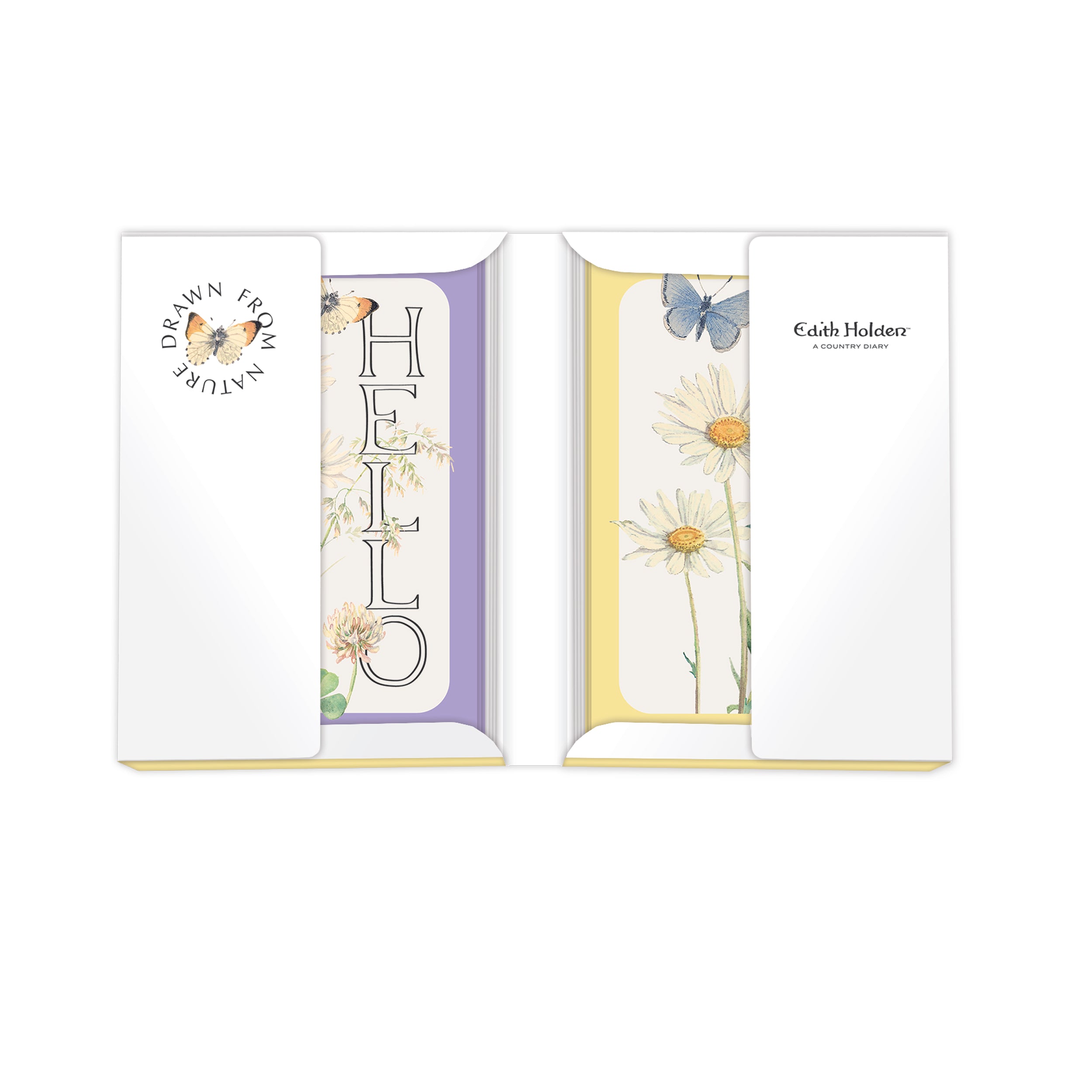 otter-house-edith-holden-notecards-12er-daisy-milkwort-a6 image 4
