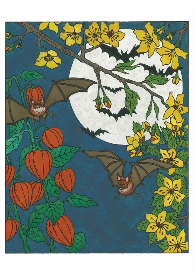 pomegranate-cj-hurley-night-gliding-klappkarte-einzeln image 1