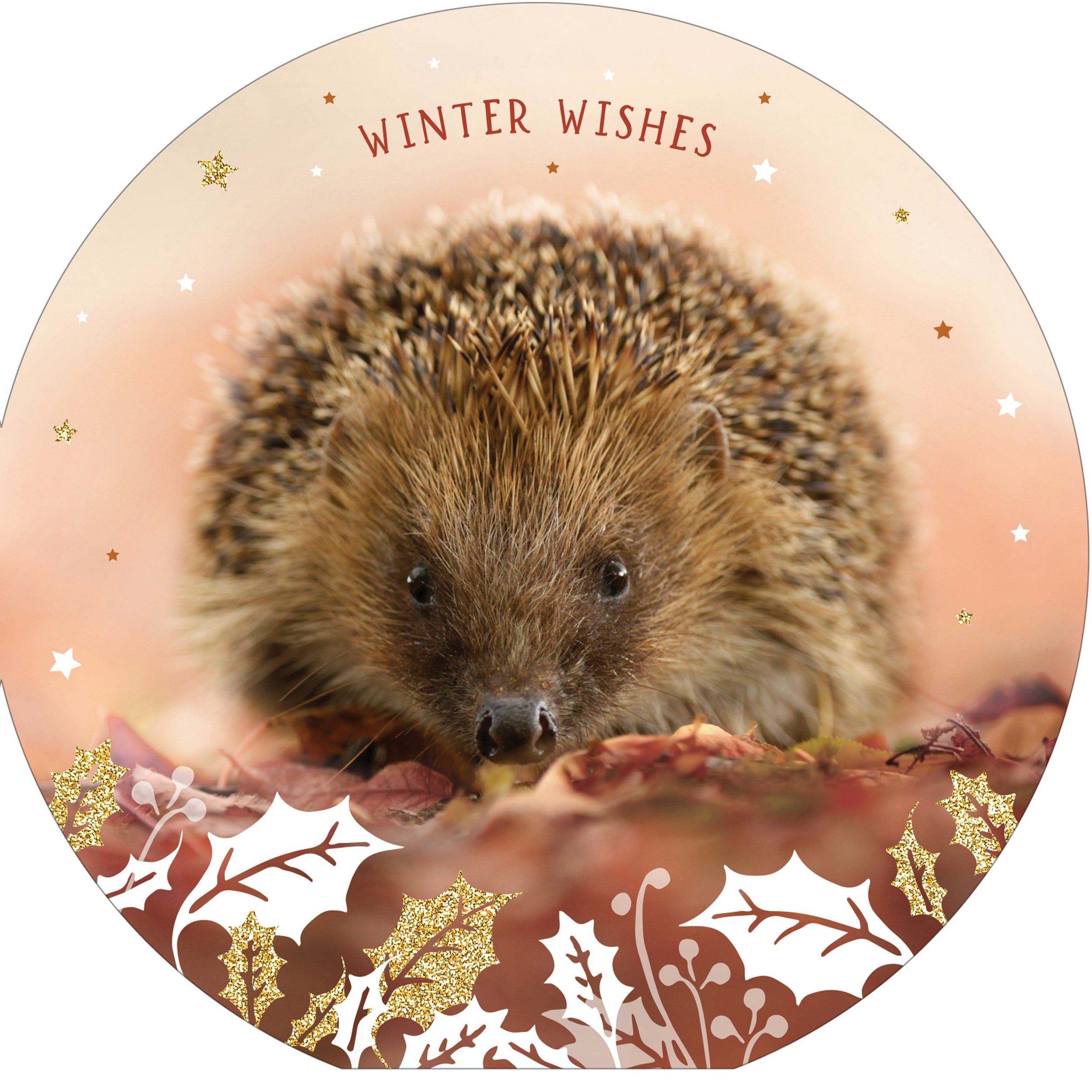 otter-house-winter-creatures-weihnachtskarten-10er-rspb-igel image 1