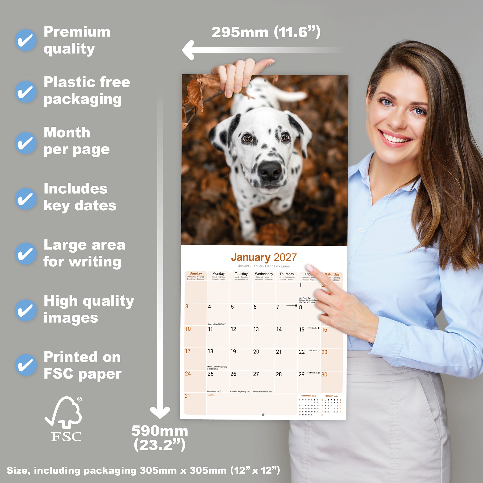 otter-house-dalmatian-wandkalender-2027-hunde image 4