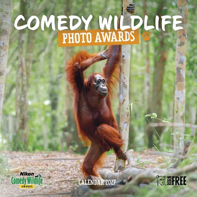otter-house-comedy-wildlife-wandkalender-2027-tiere image 1