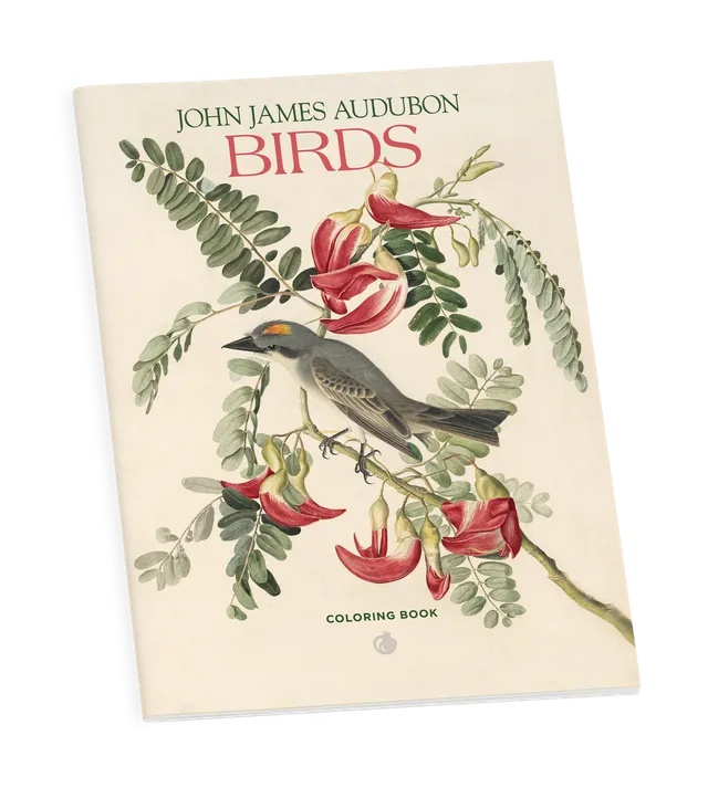 pomegranate-john-james-audubon-birds-malbuch-v-gel image 1