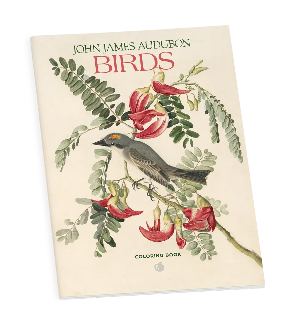 pomegranate-john-james-audubon-birds-malbuch-v-gel image 1