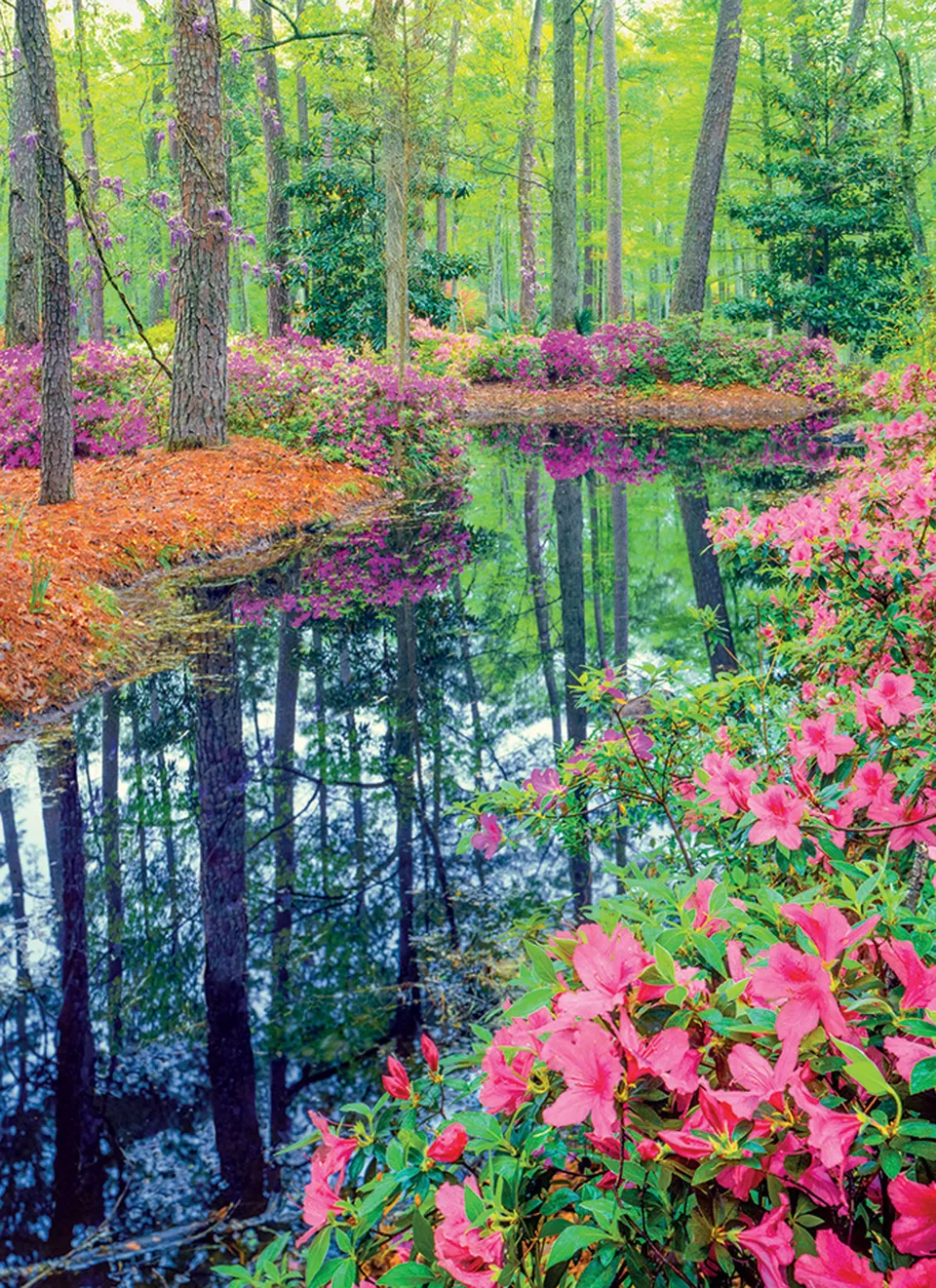 otter-house-beautiful-blanks-blankokarte-beautiful-garden image 1