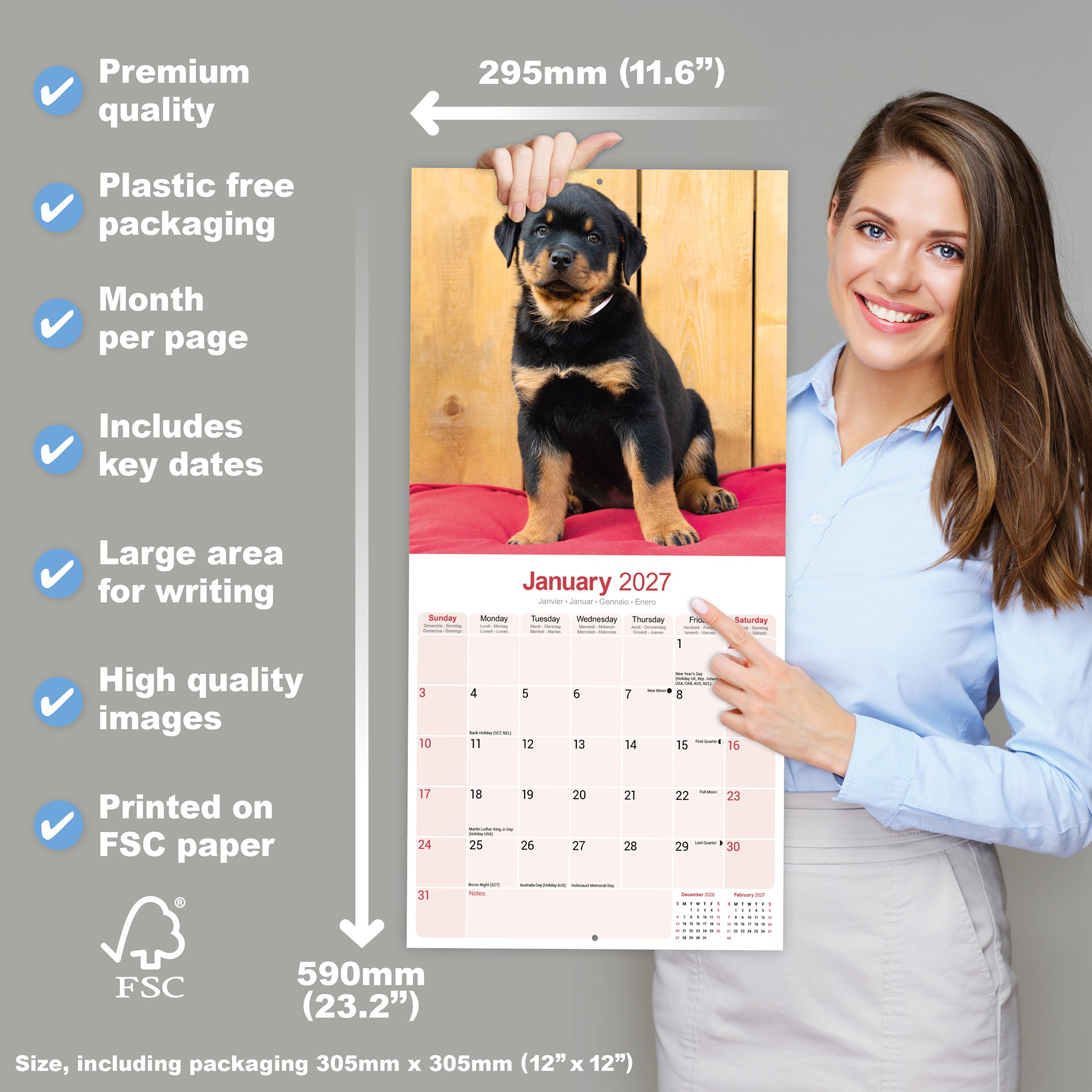 otter-house-rottweiler-puppies-wall-calendar-2027-hunde image 4
